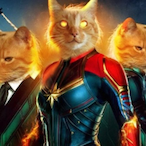 Luvrollerr6's Avatar'