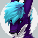 NyrixDerg's Avatar'