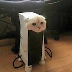 IIISkIIIBan's Avatar'