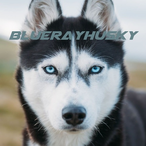 BlueRayHuzky's Avatar'