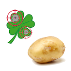 Lucky_PotatoAim's Avatar'