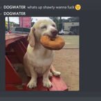 GooseIsnotADuck's Avatar'
