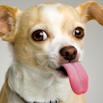 Pietrin.RUSH's Avatar'