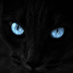 nokus.'s Avatar'