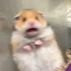 TEMPO_Down's Avatar'