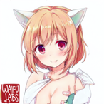 wtfdui's Avatar'
