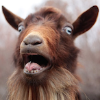 AutisticPrime's Avatar'