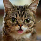 saytorn4skin's Avatar'