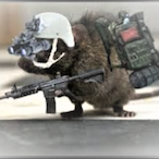 ShamelessRat's Avatar'