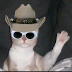 CoolKadd's Avatar'