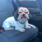 Mellyn's Avatar'