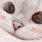 marbIeEU's Avatar'