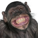 Deles97's Avatar'