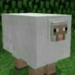 Braunei187's Avatar'