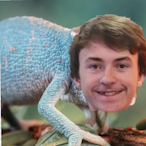 levi_gape69's Avatar'
