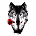 Wolfmeister1010's Avatar