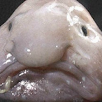 MRPpOpO's Avatar'