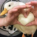 NoLimit-973's Avatar'