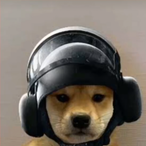 Schnils_Uwe's Avatar'