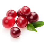 CranberryBall's Avatar'