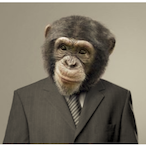 Skill.Monkey's Avatar'