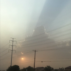 ariasdenam's Avatar'