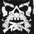 HorizonHexed's Avatar'