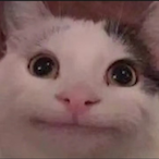 JDSTSL's Avatar'