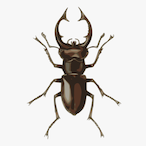 QuissetHouse's Avatar'