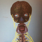 xxninja24's Avatar'