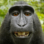 Elderthegoat's Avatar'