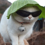 ATKdoddlebop's Avatar'