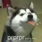 bibilili's Avatar'