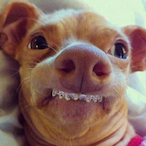 STIKYD8's Avatar'
