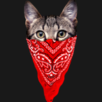 FeetisDeletis42's Avatar'