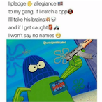 DankChud937's Avatar'