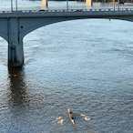 andrewaj15's Avatar'