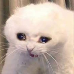 ShawnAimsOnU's Avatar'