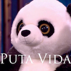 ElPtoPanda's Avatar'