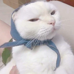 KuMaLaLa34's Avatar'