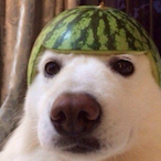 Elsapito29's Avatar'