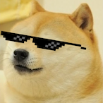 zaplooko's Avatar'