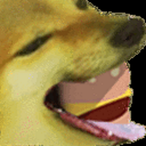 AffectionCube's Avatar