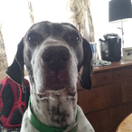 Birddog6424's Avatar