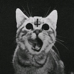 X-_zit's Avatar'
