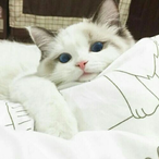i95827's Avatar'
