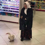 Ecchi.Babushka's Avatar'