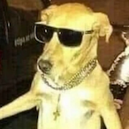 HamiltonIsAGoat's Avatar'