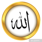 trin eshags's Avatar'