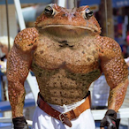 fatshlurp49's Avatar'